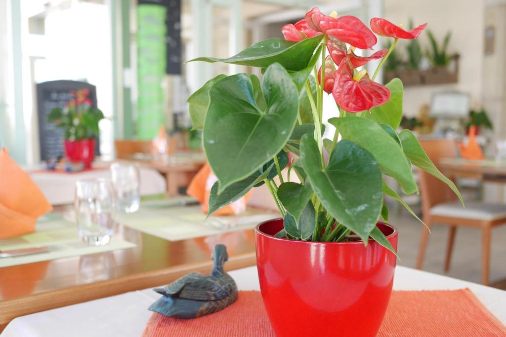 Auberge Aux Deux Sapins Montricher エクステリア 写真