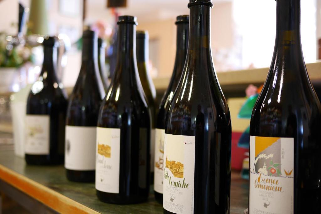 Auberge Aux Deux Sapins Montricher エクステリア 写真